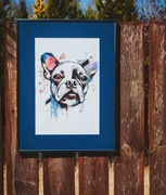 Buldog francuski - obrazek dla miłośników psów