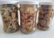 Gąski grzyby marynowane 