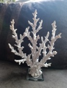 Ozdobny koralowiec na szklanej podstawce, figurka 