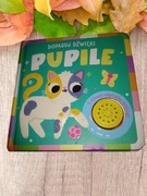 Pupile, Dopasuj dźwięki, Jerzy Mostowski