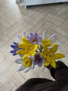 Własnoręcznie robione kwiaty 