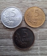 5 groszy 1949 rok 3 sztuki PRL brąz mosiądz bez napisu próba aluminium