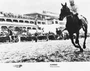 KARINO reż.Jan Batory fotografia fotos filmowy koń wyścigi 24x30