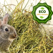 Świeże, pachnące siano 1kg + jęczmień gratis 