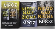NIEODNALEZIONA NIEODGADNIONA  SERIA Z DAMIANEM WERNEREM - MRÓZ