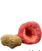 Maskotka kapibara jabłko dla dzieci