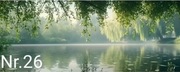 15 rodz. Baner ogrodowy ,ogrodzenie 230x180