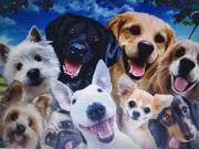 Puzzle Szczęśliwe psy 3D