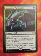 Ascendant Packleader karta MTG