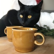 filiżanki ZPS Pruszków