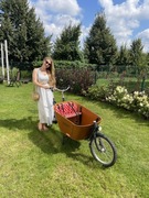 Rower cargo Babboe City