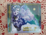 Płyta Leśny Spacer 2, relax