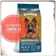 Divinus Performance dla owczarka 20kg