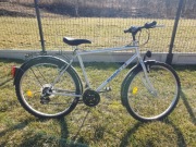 Rower Ragazzi Liner 26"