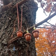 Biżuteria naturalna handmade żołędzie zestaw jesień
