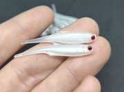 Sharp Minnow 45mm  5szt (AB Fishing TikTok) 