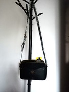 OCHNIK TOREBKA MAŁA CZARNA