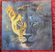 Obraz, John Wysocky - ,,The Lioness''