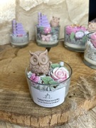 Zapachowa świeca sojowa Sowa dla nauczyciela koniec roku 150 g