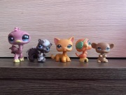 LPS Littlest pet shop pop shorthair zestaw