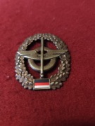 Odznaka Bundeswehery na beret wojska zaopatrzeniowe - Niemcy 