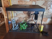 Akwarium 30l + dodatki!