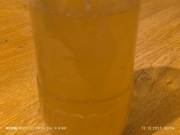 Węgorek octowy- żywy pokarm dla narybku duża i gęsta porcja zarodowa 150ml 