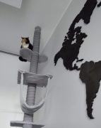 Drapak dla kota- sufitowy