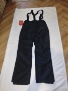 Icepeak narciarskie damskie spodnie