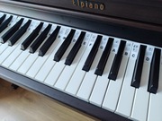 Pomocnik muzyczny nuty nakładka na klawisze pianina