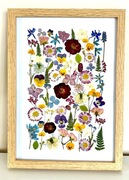 Obraz suszone kwiaty w ramce