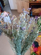 Chabry bławatki naturalne suszone  kwiaty 