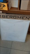Bergmen 40 Led Panel Eero Eco Plafon