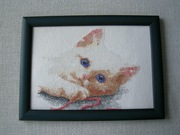 Obraz KOTEK - haft krzyżykowy w drewnianej ramie 25,0 x 34,0