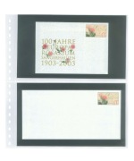 Lindner 821 - Karta, 2 kieszenie, czarna wkładka, 18-ringów, 272x296mm