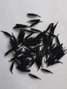 Tanta Supercontinent 25mm 10szt.