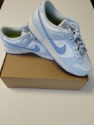 Nike Dunk Blue Tint