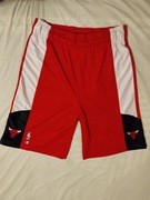 Champion chicago bulls vintage spodenki NBA koszykarskie L