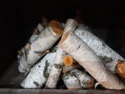 drewno kominek brzoza ozdobna zabudowa ścianka wnęka 25cm