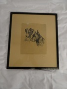 Obraz stara grafika ,,Psy"