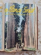 Magazyn Poznaj Świat, 1964r, 1-12 (12szt.)