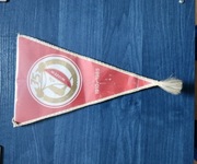 Proporczyk WIDZEW ŁÓDŹ RTS