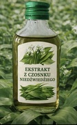 Ekstrakt z czosnku niedźwiedziego 100ml