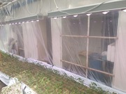 Lampa LED Plantalux do produkcji rozsady 400W