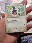 Chatot  (TEF 132) Temporal Forces Pokemon 