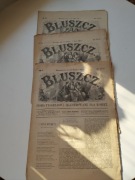 3 numery XIX wiecznego czasopisma Bluszcz nr 18,19, 20 1891