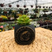 Doniczka, pojemnik ze znakiem zodiaku