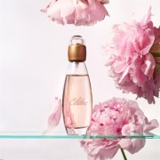 Avon Celebre 50 ml woda toaletowa