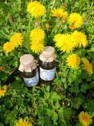 Syrop z mniszka lekarskiego 330 ml