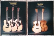 Martin 2016 + Limited Editions & New Models Winter 2016 - katalogi gitar